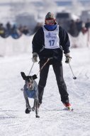 Lenk 2013